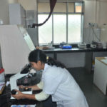 Central Clinical Laboratory