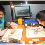 Basic Surgical Course